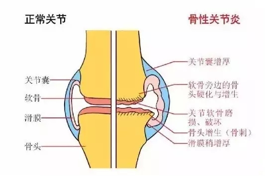 640.webp (2).jpg