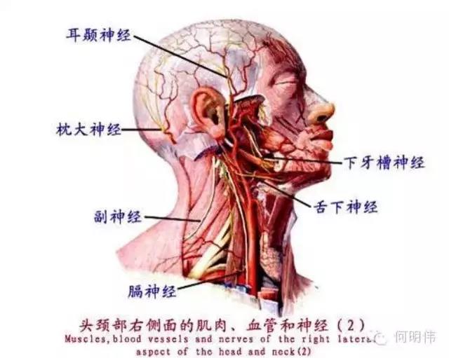 微信图片_20170919165815.jpg