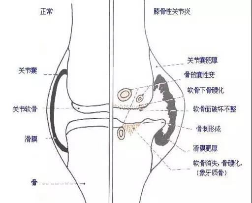 微信图片_20171226084002.jpg
