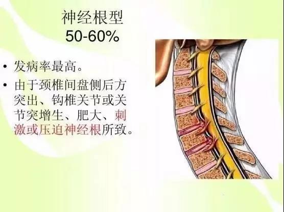 微信图片_20180413152625.jpg