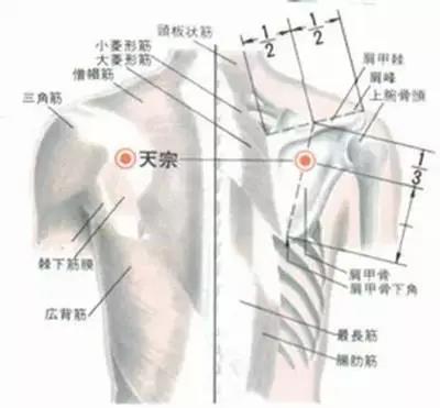 微信图片_20180509161937.jpg
