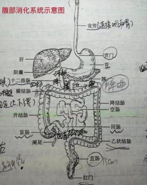 微信图片_20190527194247.jpg